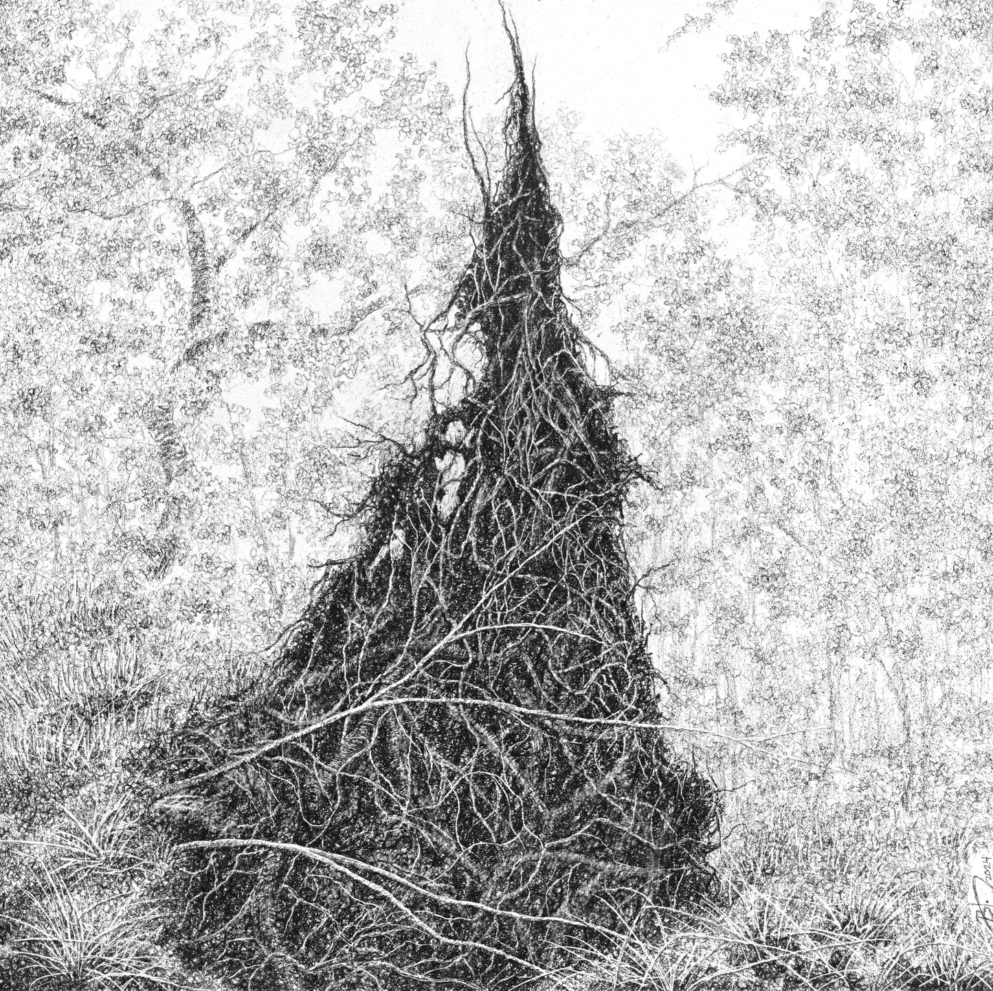 Revision (Root Plate), 2024 by Blake Milteer