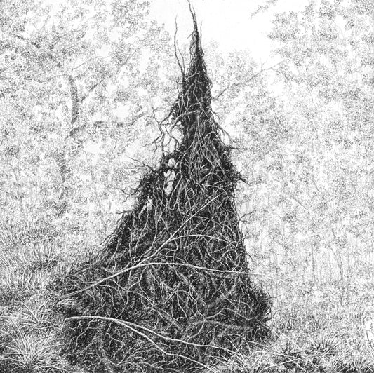 Revision (Root Plate), 2024 by Blake Milteer