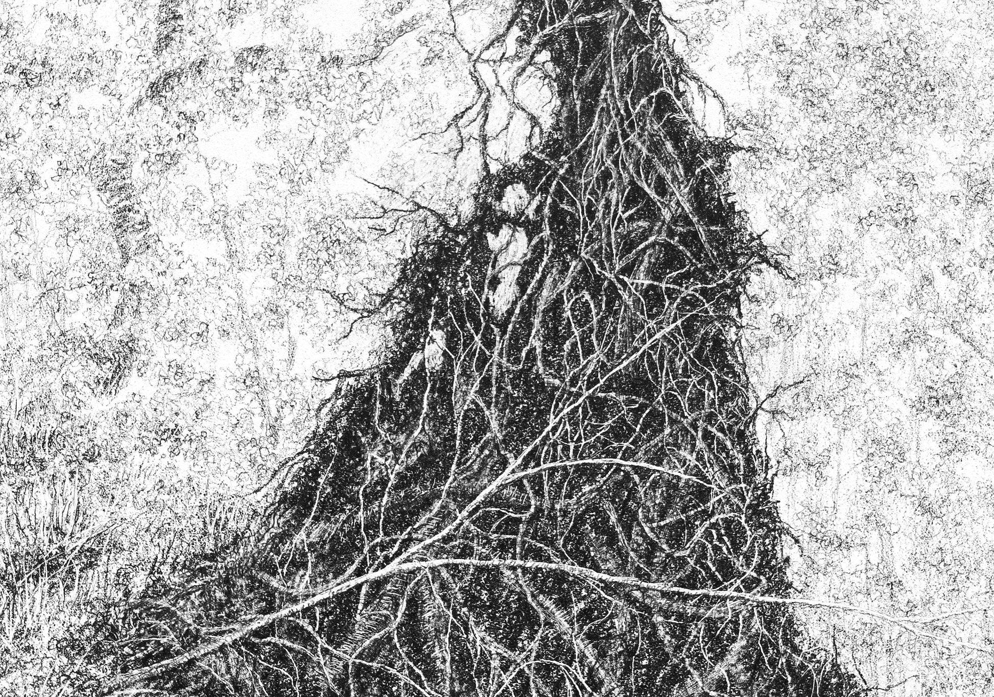 Revision (Root Plate), 2024 by Blake Milteer