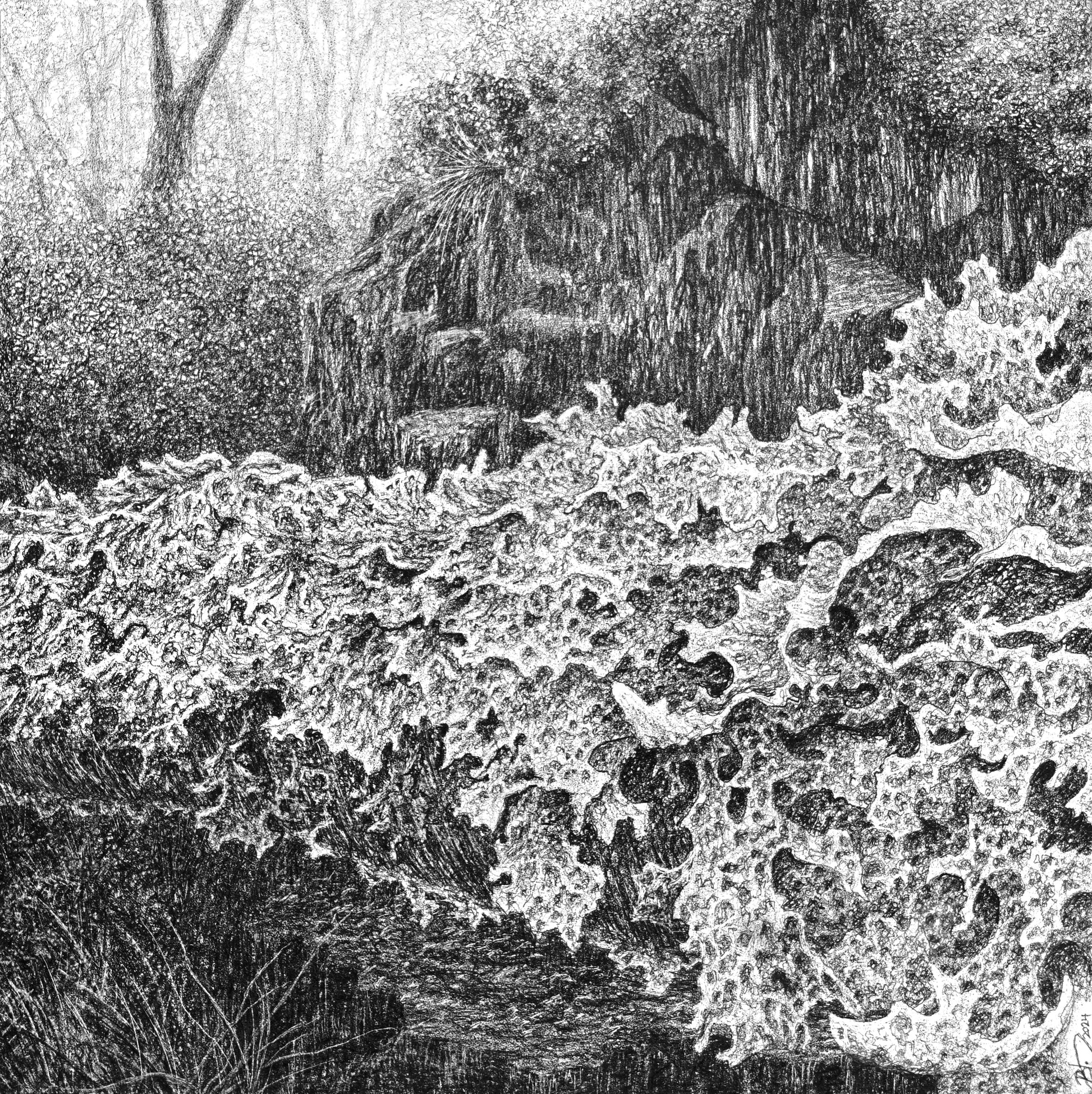 Sometimes a New Thing (Coille Dubh near Gairloch, Scotland), 2024 by Blake Milteer