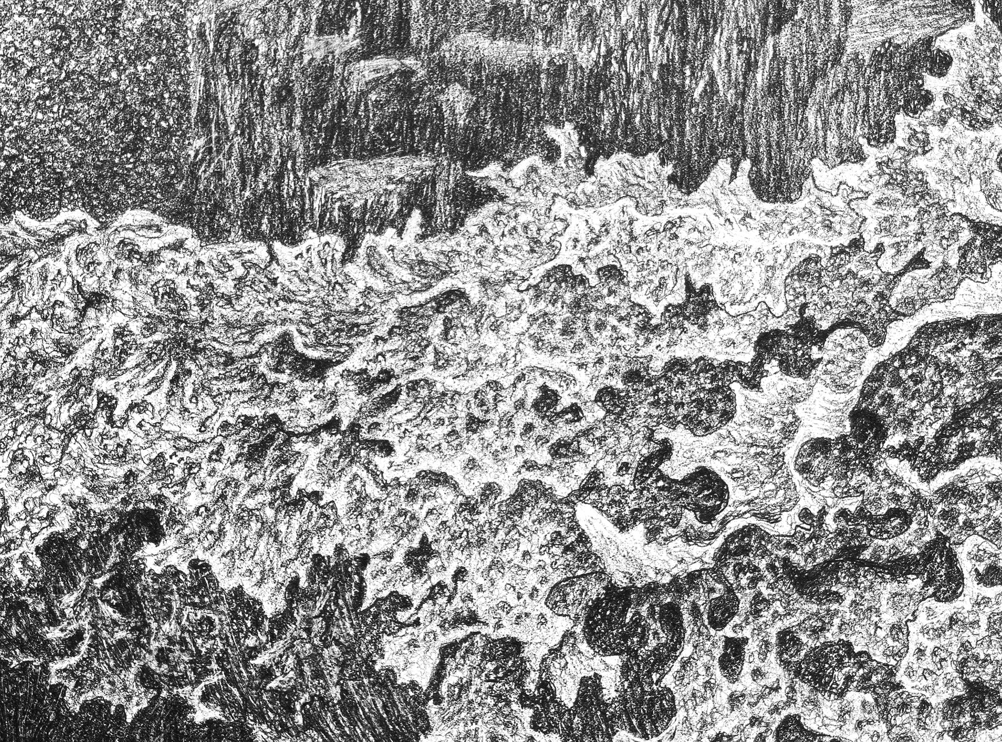 Sometimes a New Thing (Coille Dubh near Gairloch, Scotland), 2024 by Blake Milteer