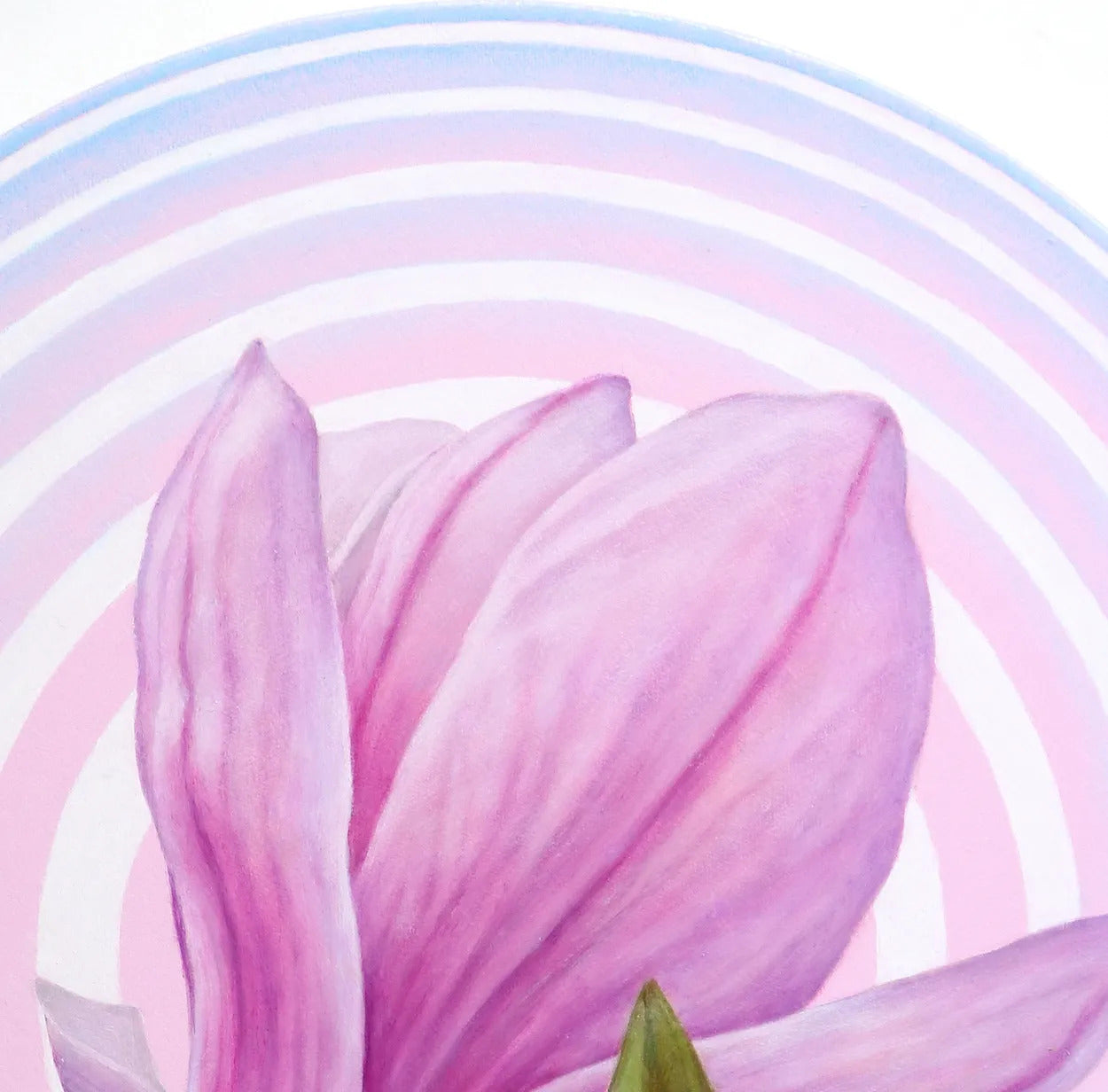 Magnolia in Circle 3 by Emiko Aida