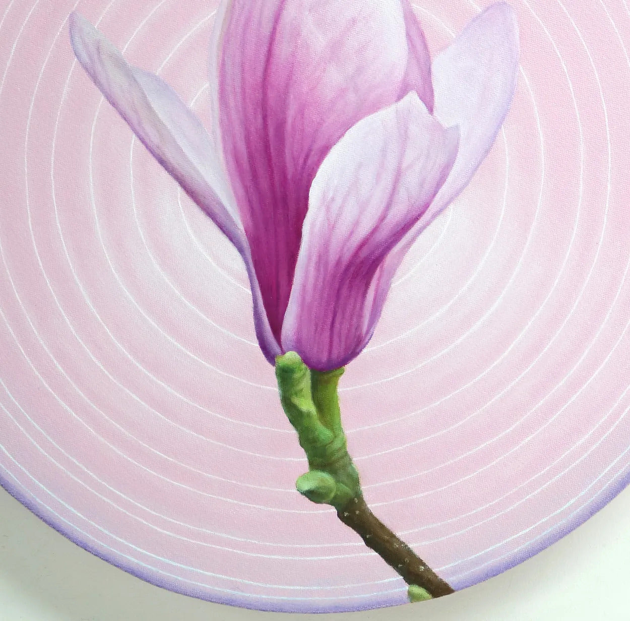 Magnolia in Circle 1 by Emiko Aida