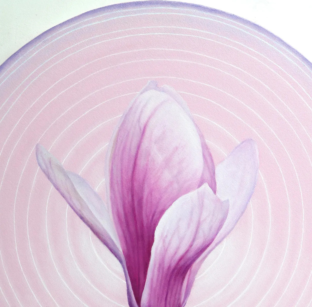 Magnolia in Circle 1 by Emiko Aida