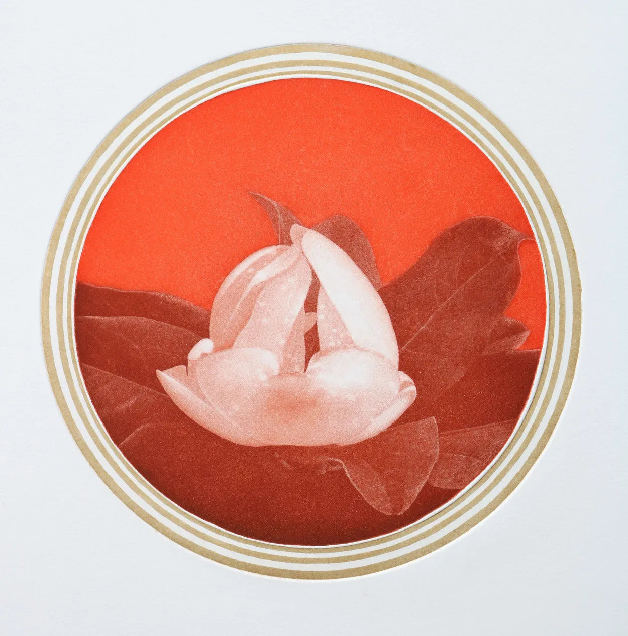 White Flower 4 by Emiko Aida