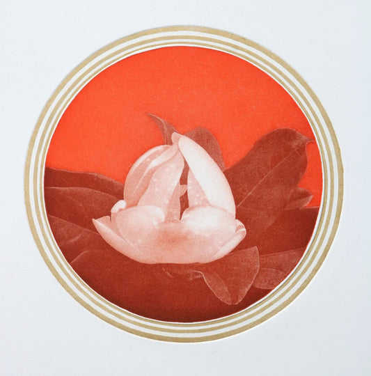 White Flower 4 by Emiko Aida