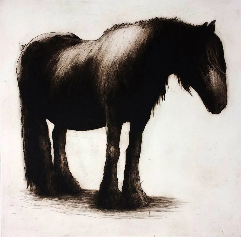 Dales Pony by Helen Fay