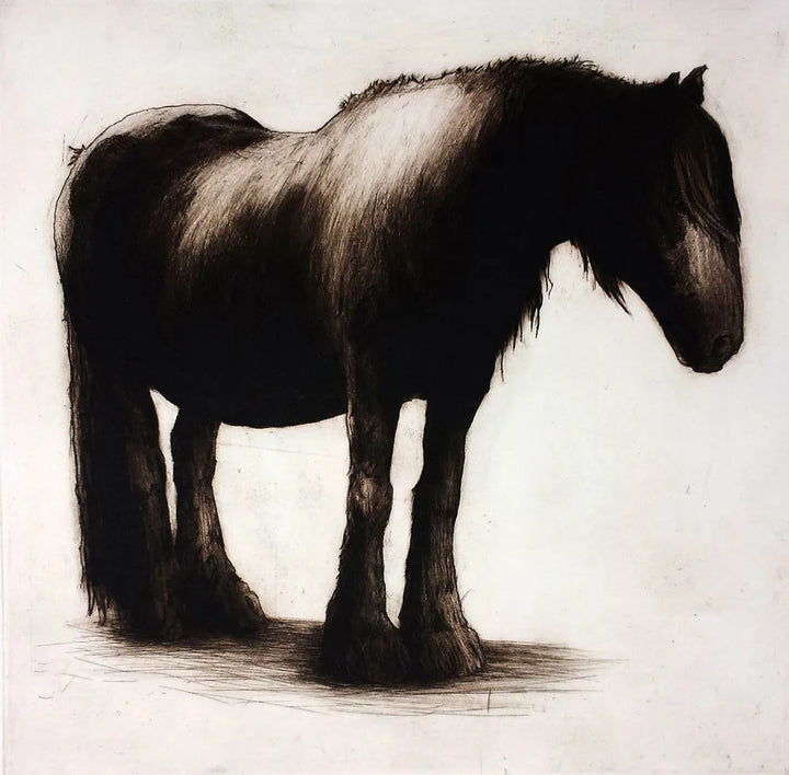 Dales Pony by Helen Fay