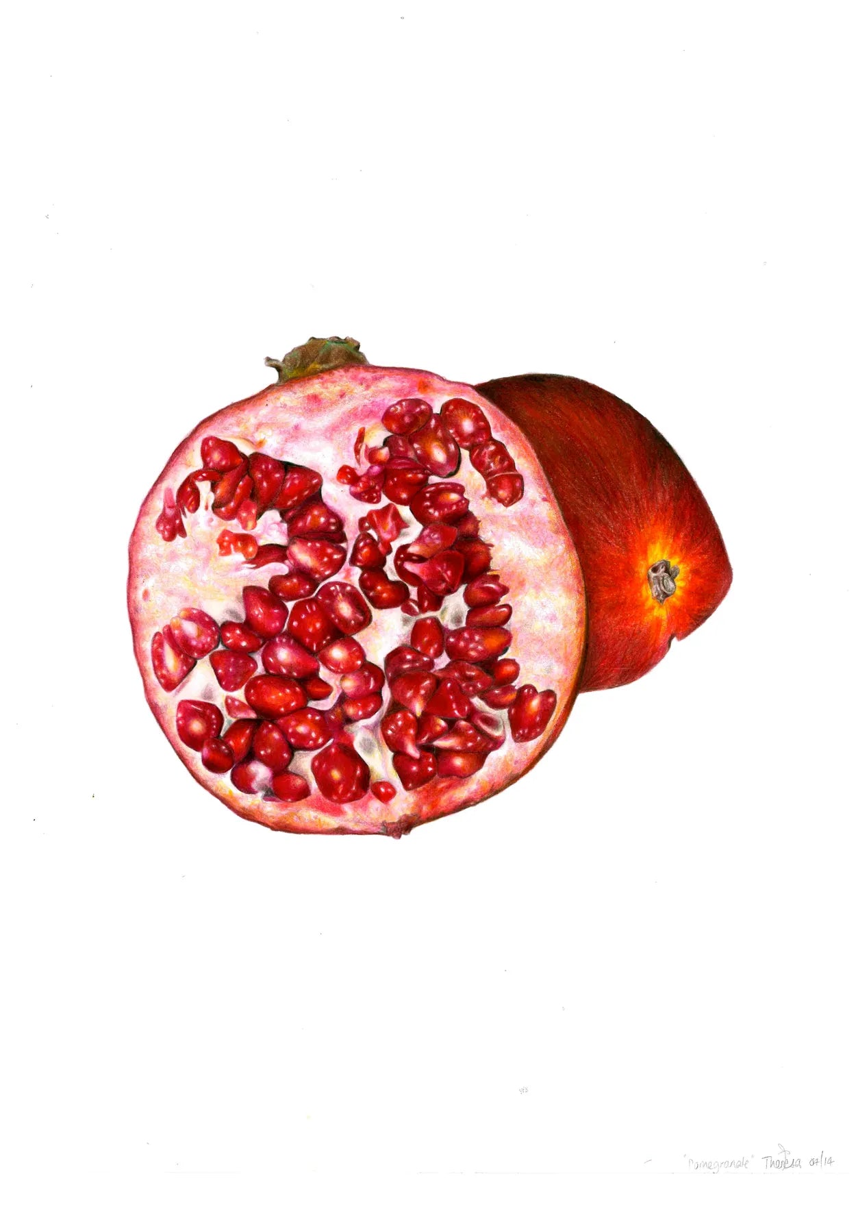 Pomegranate by Theresa Reilly-Cooper