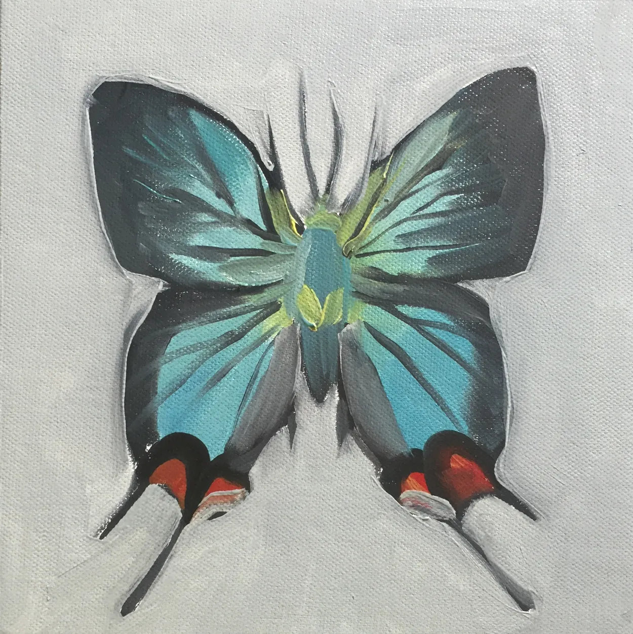 Crowned Hairstreak Butterfly by Coral Churchill