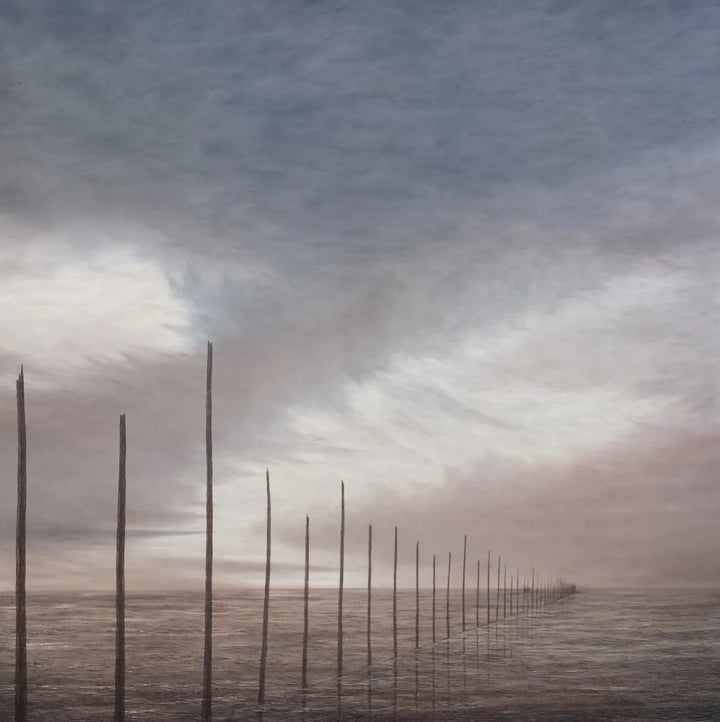 Stakes by David Rae