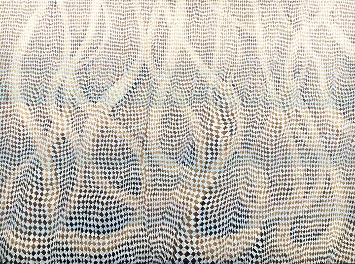 Shadow Play by Sara Willett