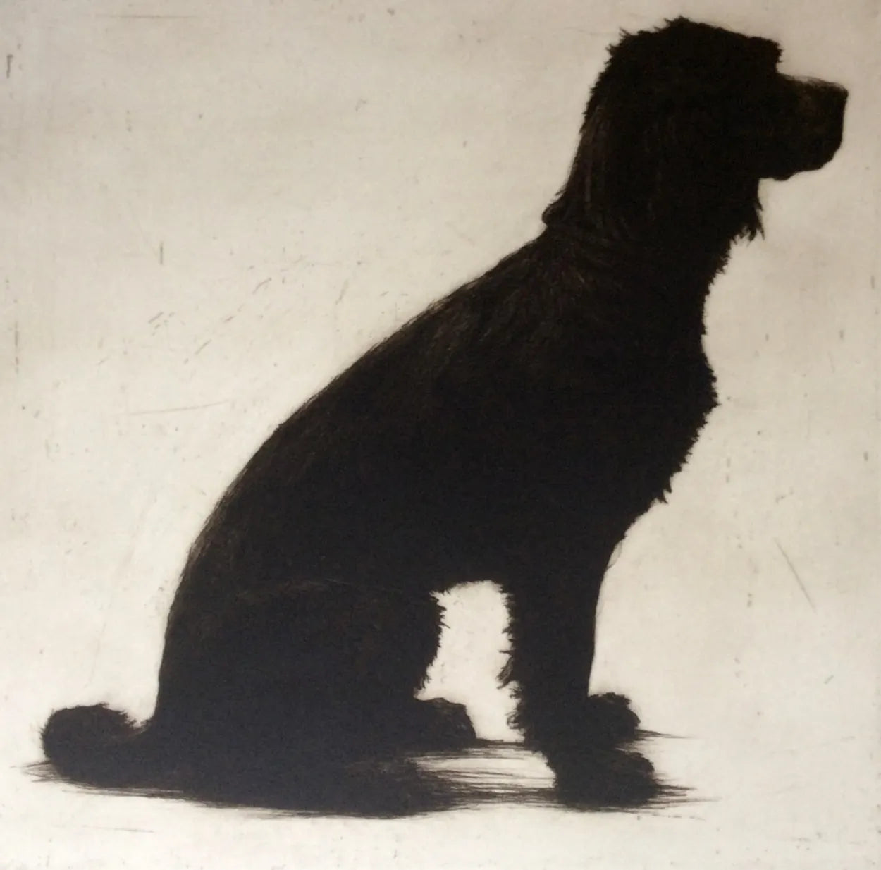 Louis by Helen Fay