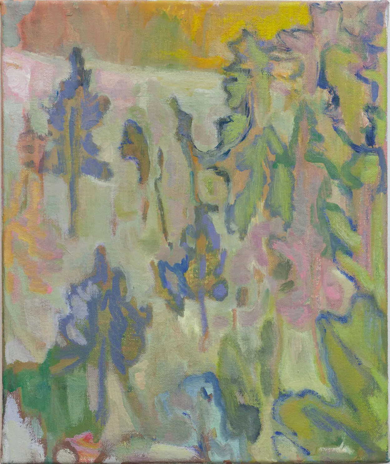 Looking At Trees by Sophie Baker