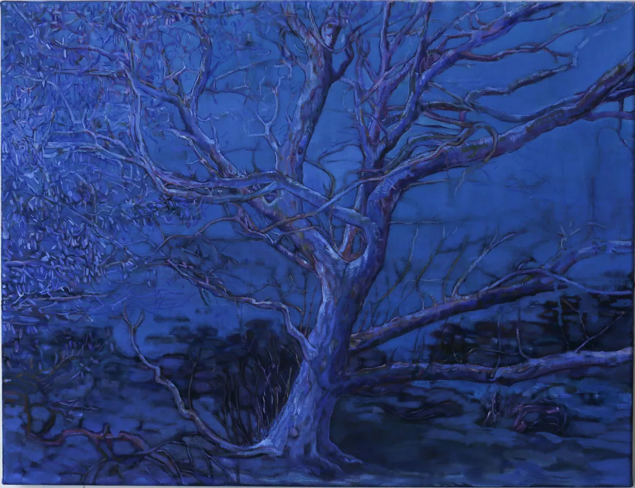 Cobalt Blue Lone Tree by Sophie Baker