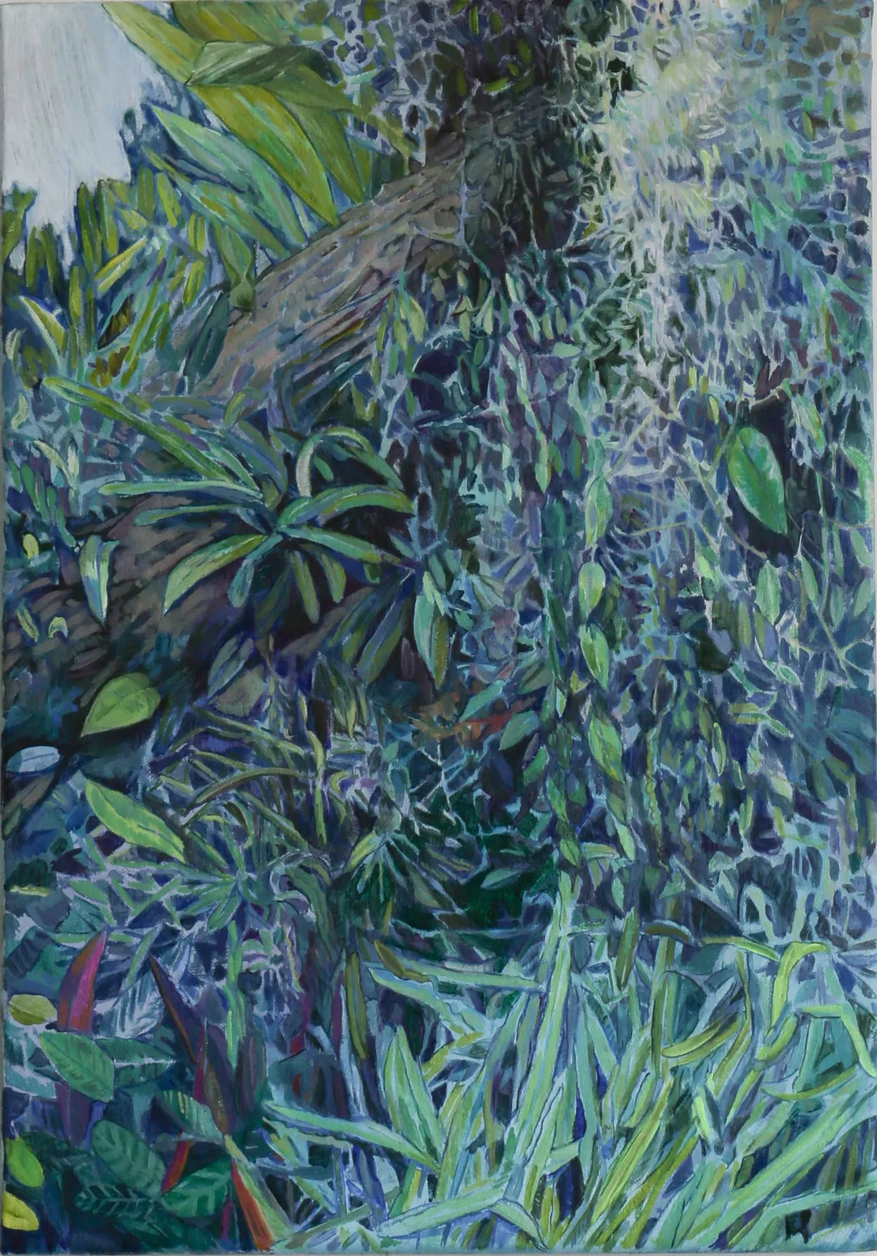 Veridian by Sophie Baker