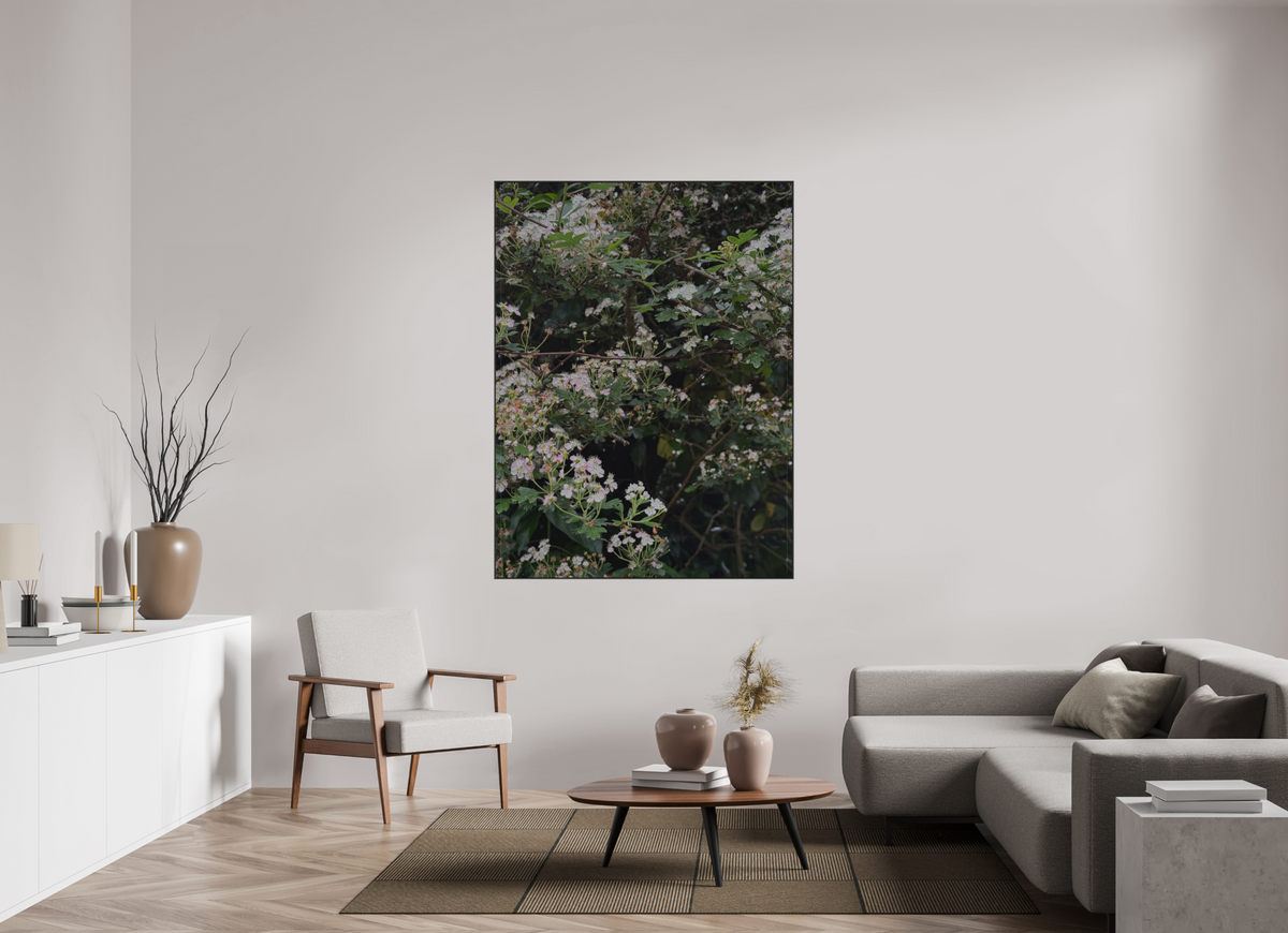 120 x 160 cm, ALU BRUSHED SILVER ARTBOX BLACK May Blossom