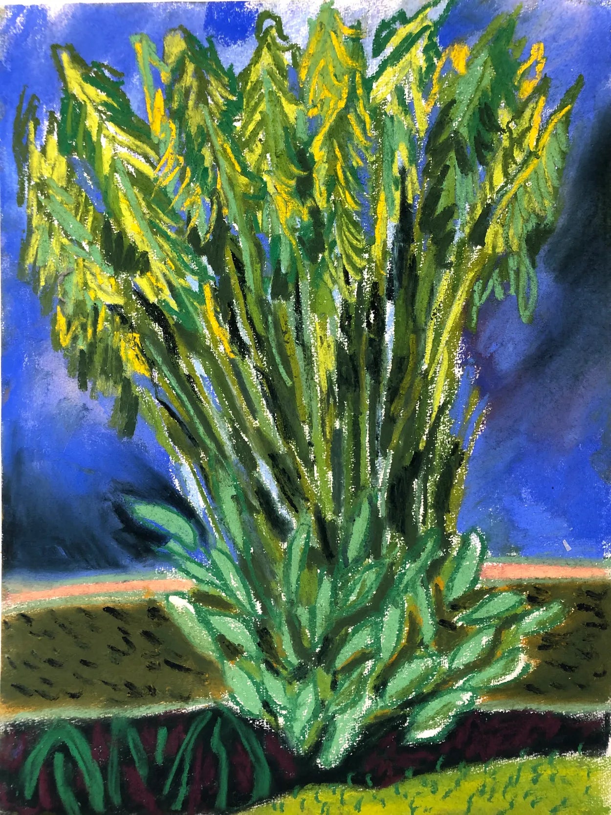 Banana Palm IV by Charlotte Johnston