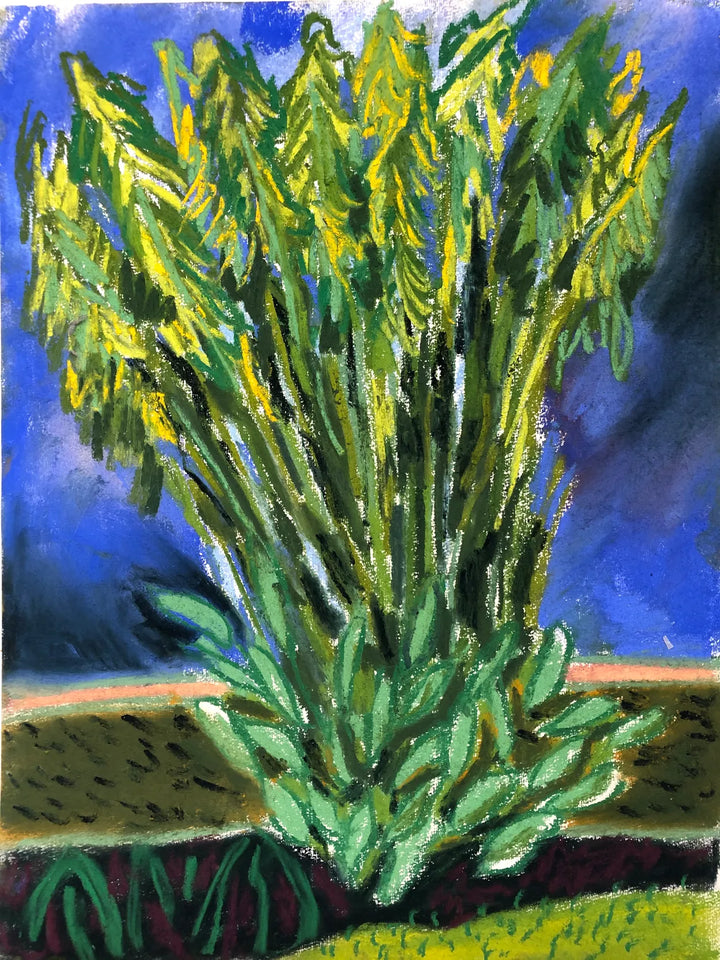 Banana Palm IV by Charlotte Johnston