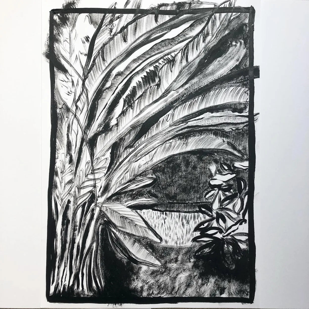 Banana Palm V by Charlotte Johnston