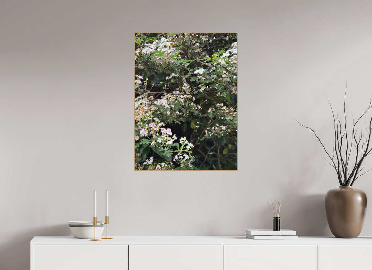 60 x 80 cm, PIGMENT ARTBOX NATURAL OAK May Blossom