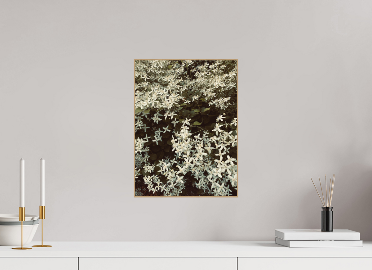 30 x 40 cm, PIGMENT ARTBOX NATURAL OAK Sweet Autumn Clematis