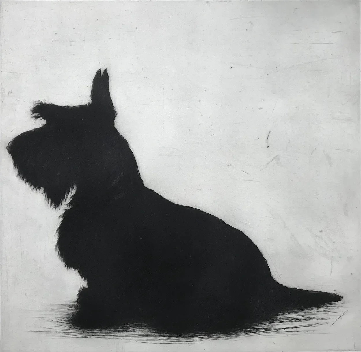 Bronte's Big Brother by Helen Fay, original printmaking