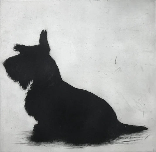 Bronte's Big Brother by Helen Fay, original printmaking