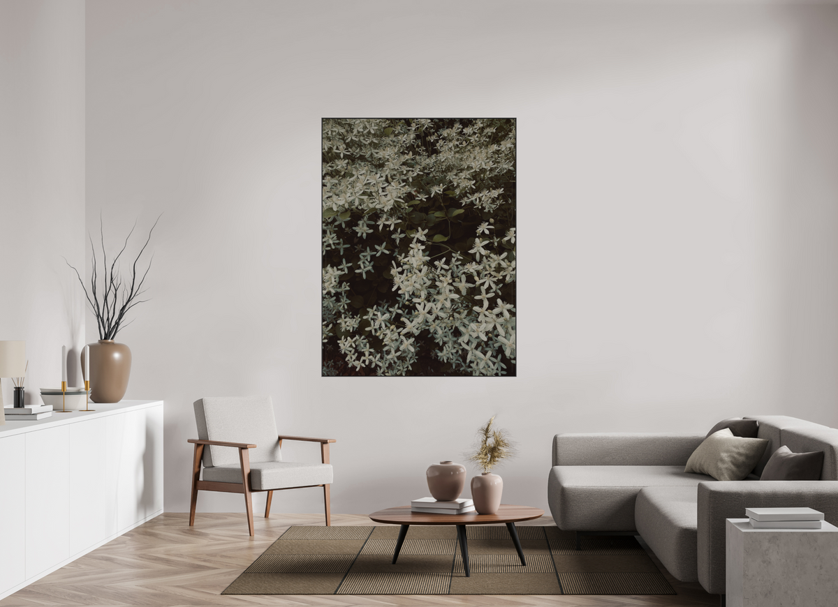 120 x 160 cm, ALU BRUSHED SILVER ARTBOX BLACK Sweet Autumn Clematis