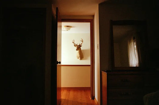 Deer Head, Who Drinks Your Tears? by Allison Gretchko, original photography