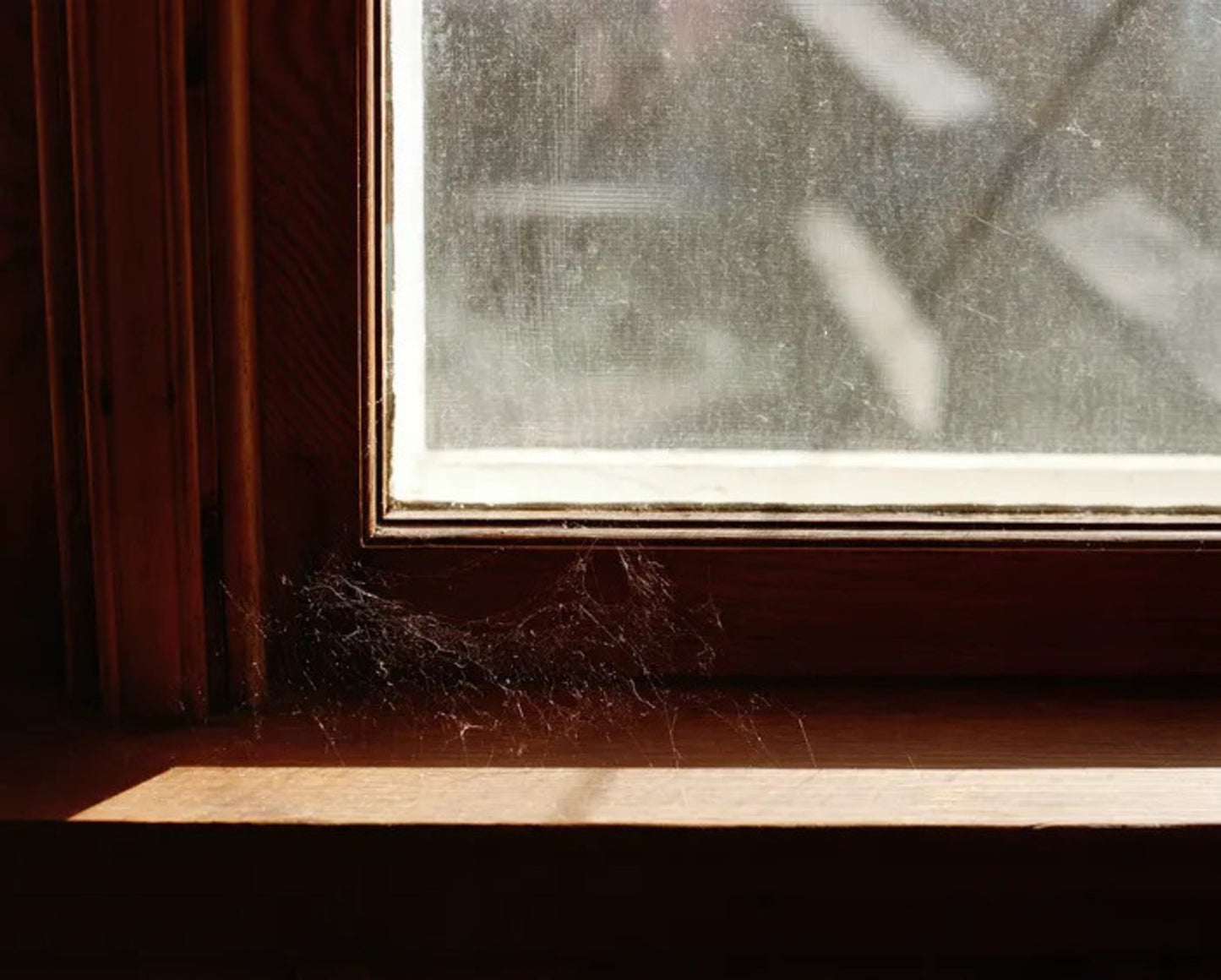 Web, Who Drinks Your Tears? Series