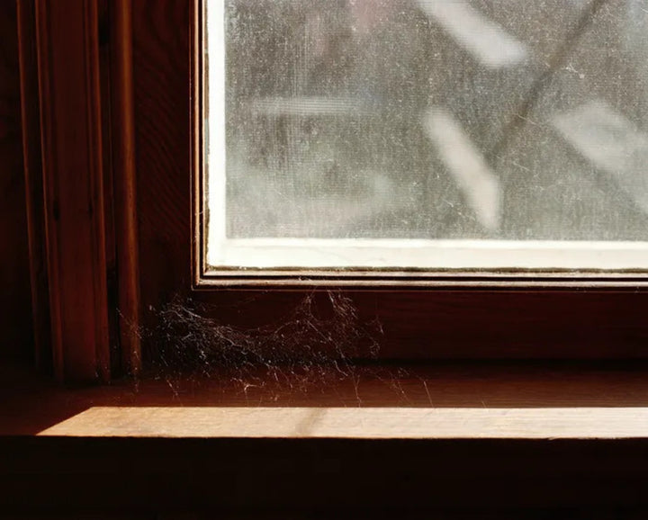 Web, Who Drinks Your Tears? Series