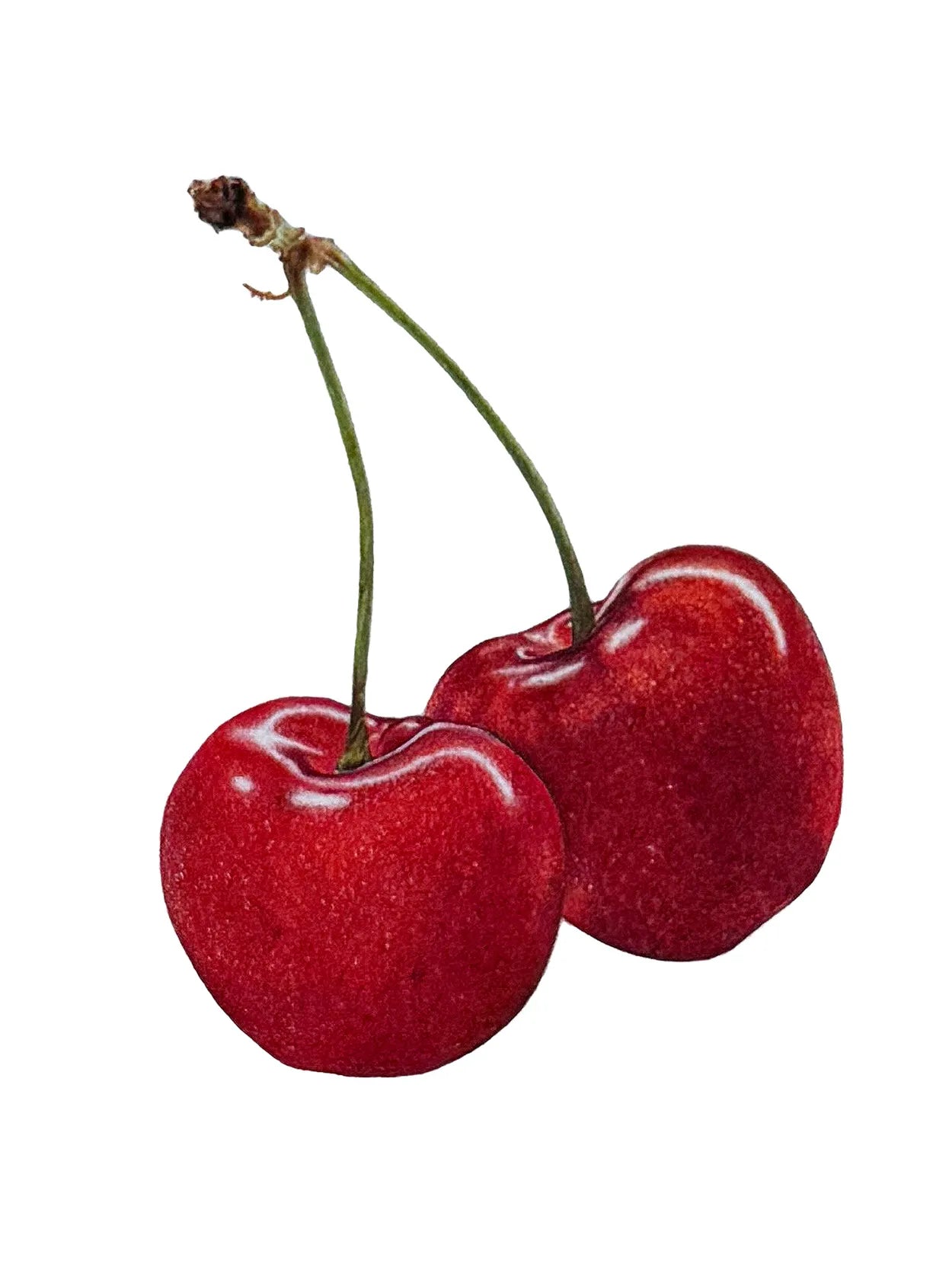 Cherries by Theresa Reilly-Cooper