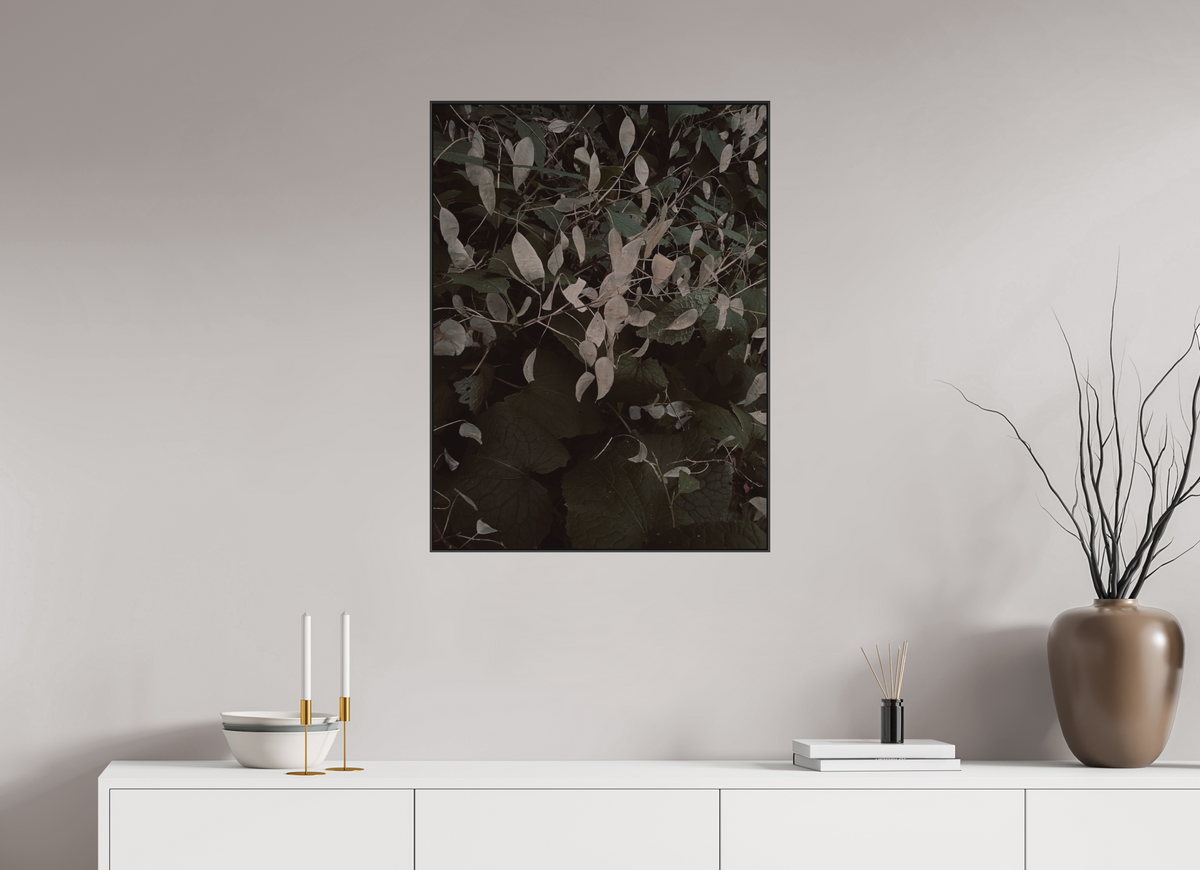 60 x 80 cm, ALU BRUSHED SILVER ARTBOX BLACK Perennial Honesty