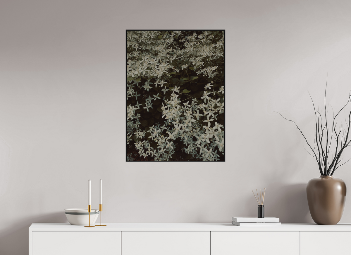 60 x 80 cm, ALU BRUSHED SILVER ARTBOX BLACK Sweet Autumn Clematis