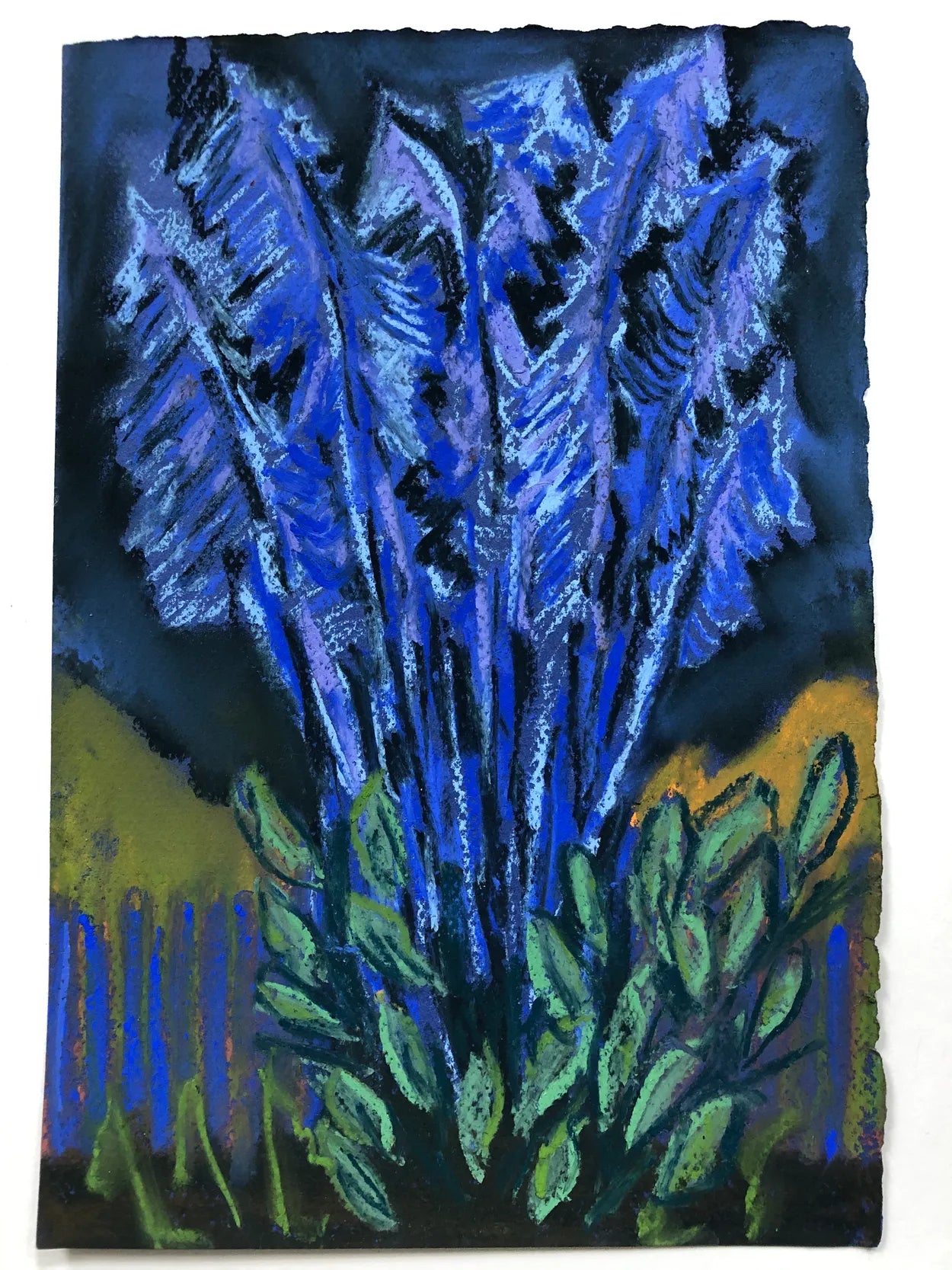 Dark Palm Study by Charlotte Johnston