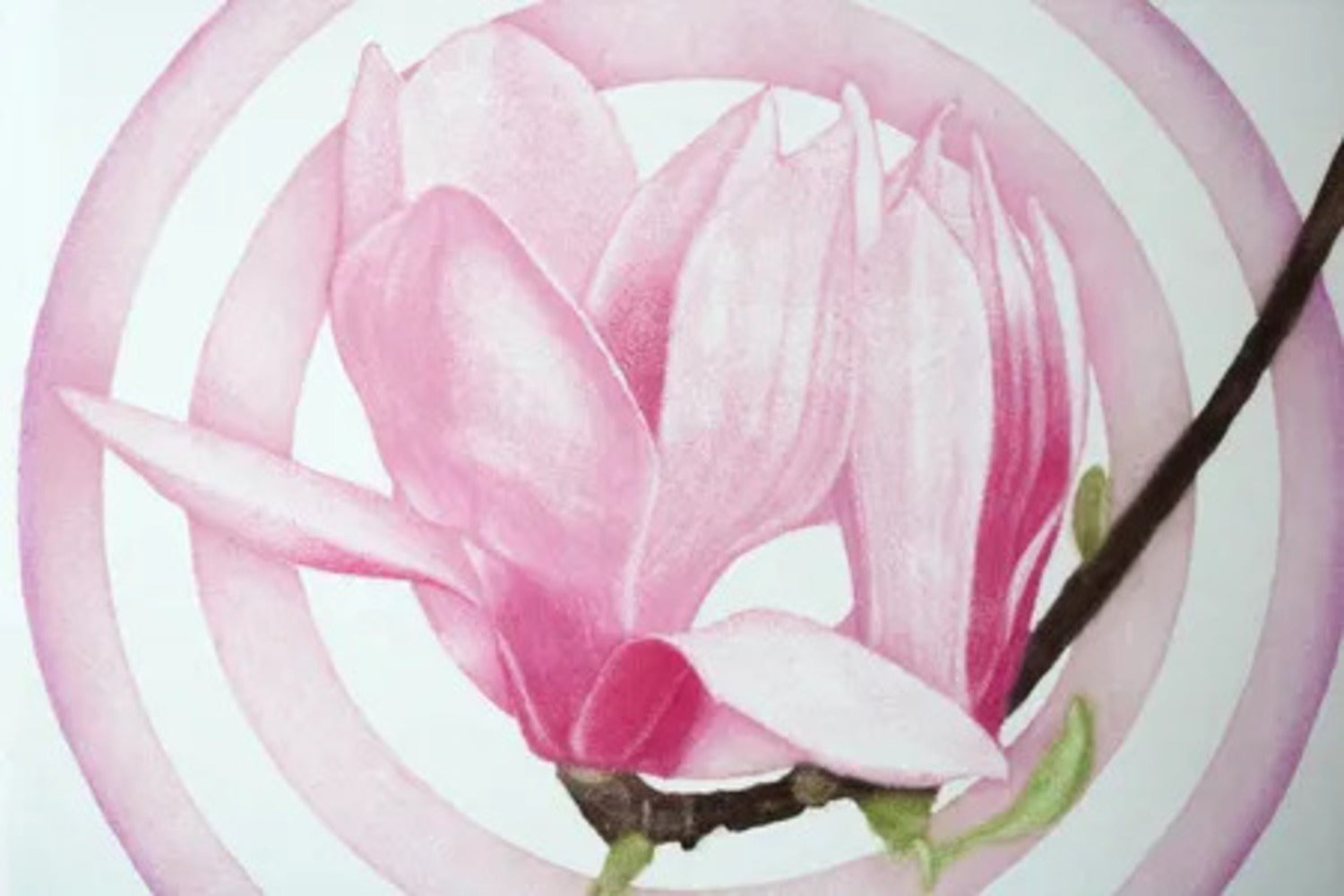 Magnolia Light 2 by Emiko Aida, detail 2