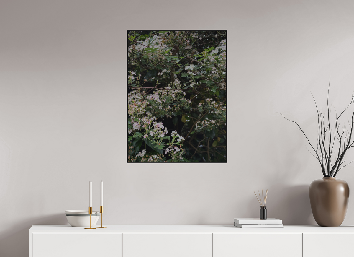 60 x 80 cm, ALU BRUSHED SILVER ARTBOX BLACK May Blossom