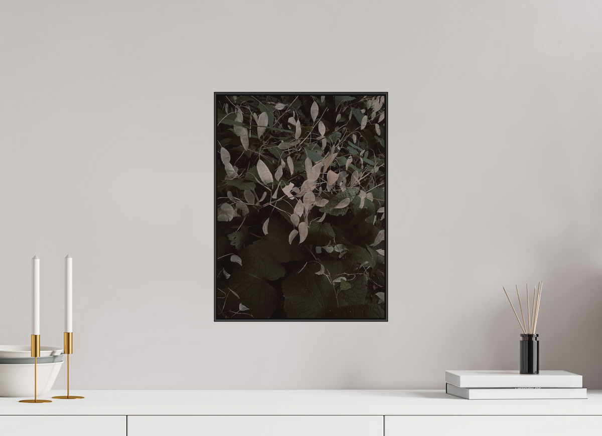 30 x 40 cm, ALU BRUSHED SILVER ARTBOX BLACK Perennial Honesty
