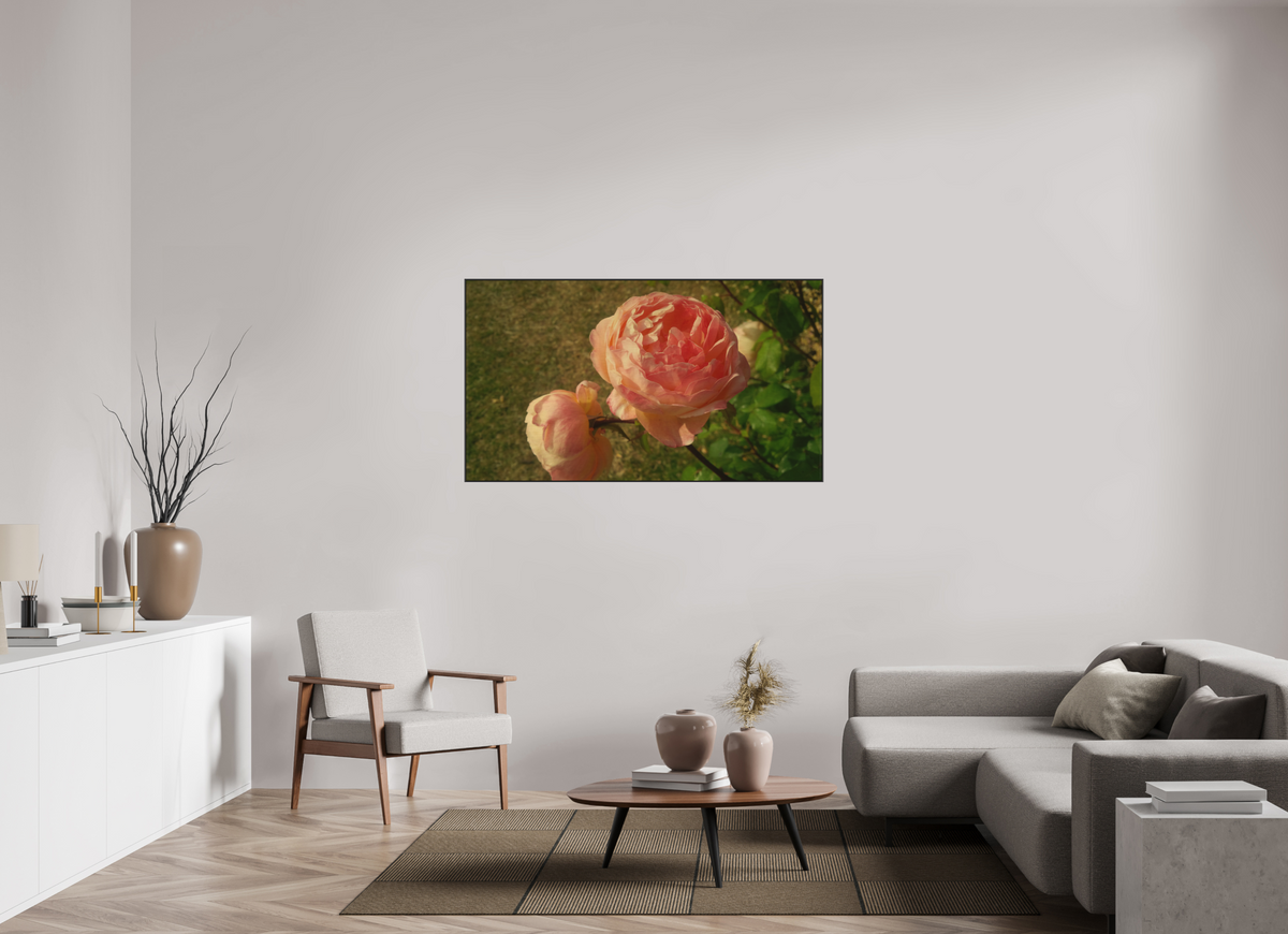 144 x 81 cm, ALU BRUSHED GOLD ARTBOX BLACK Late Summer