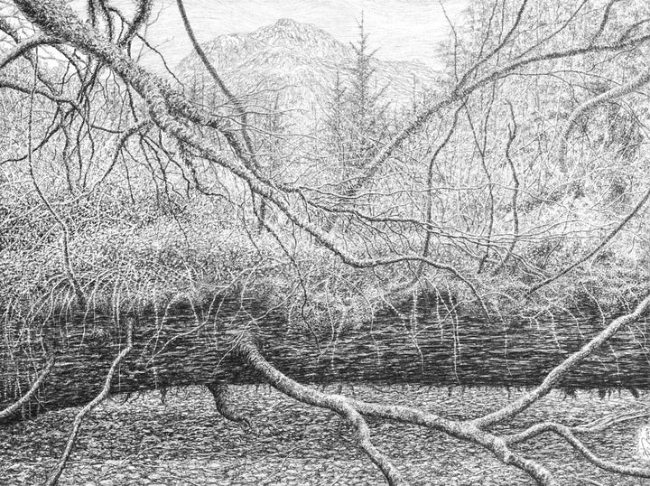 Below the World (Am Baile Mòr, Flowerdale Glen, Scotland), 2024