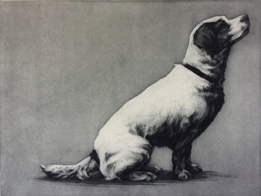 Masie by Helen Fay, original printmaking
