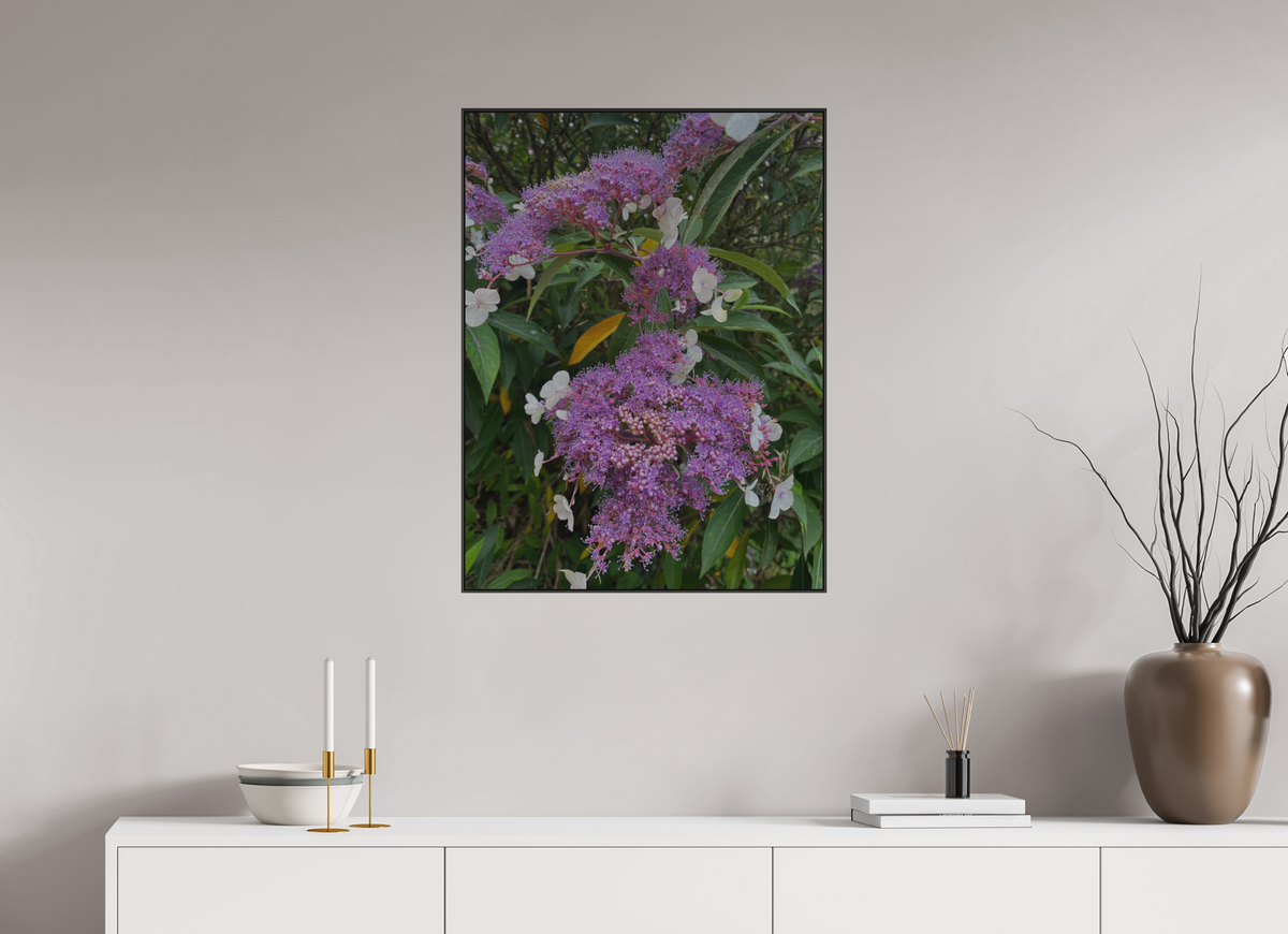 60 x 80 cm, ALU BRUSHED SILVER ARTBOX BLACK Lilac Lacecap