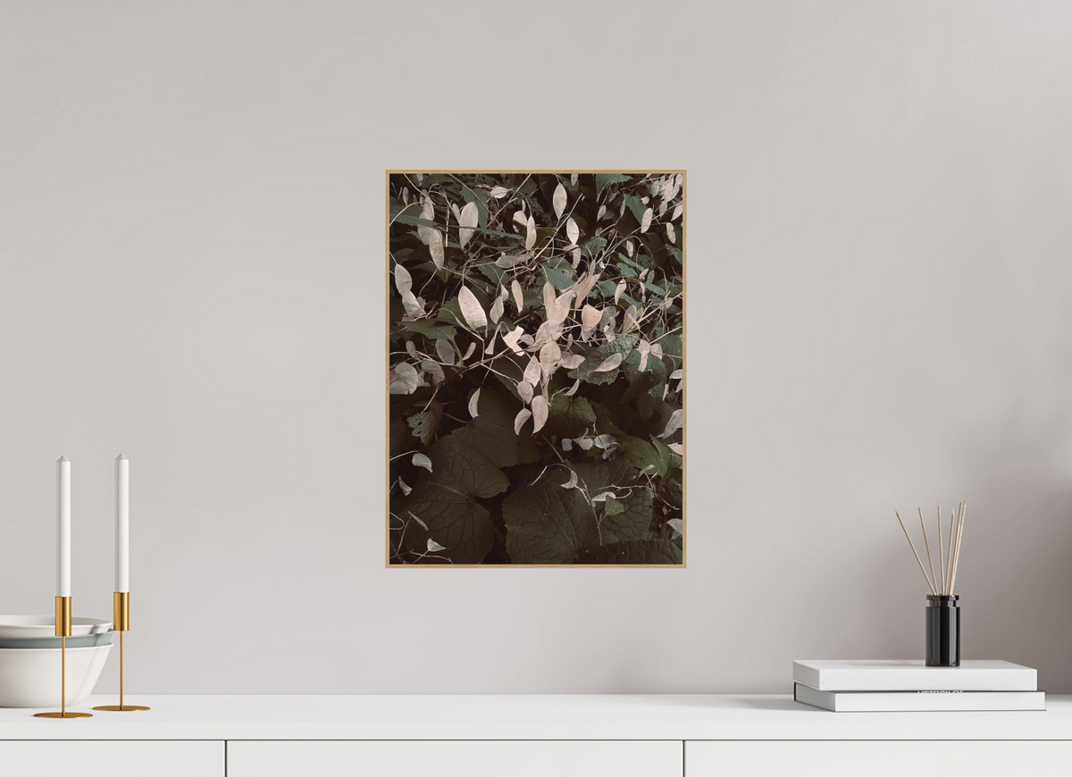 30 x 40 cm, PIGMENT ARTBOX NATURAL OAK Perennial Honesty