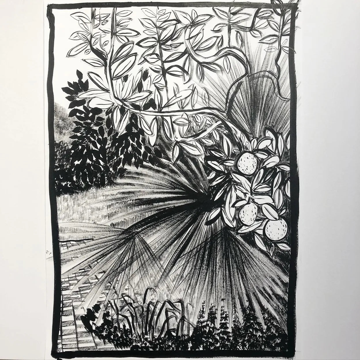 Fan Palm III by Charlotte Johnston