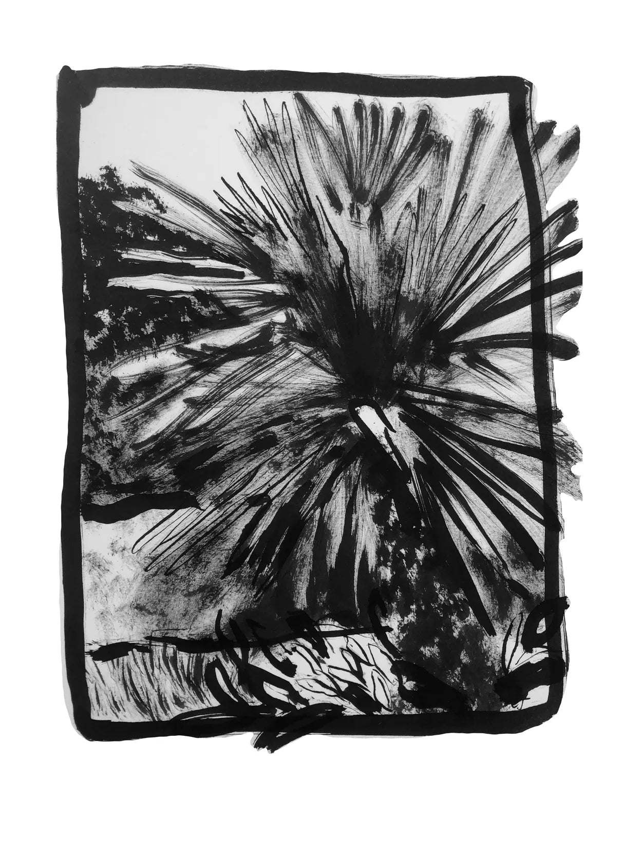 Fan Palm Study III by Charlotte Johnston
