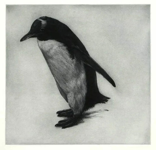 Homeward Bound by Helen Fay, original printmaking