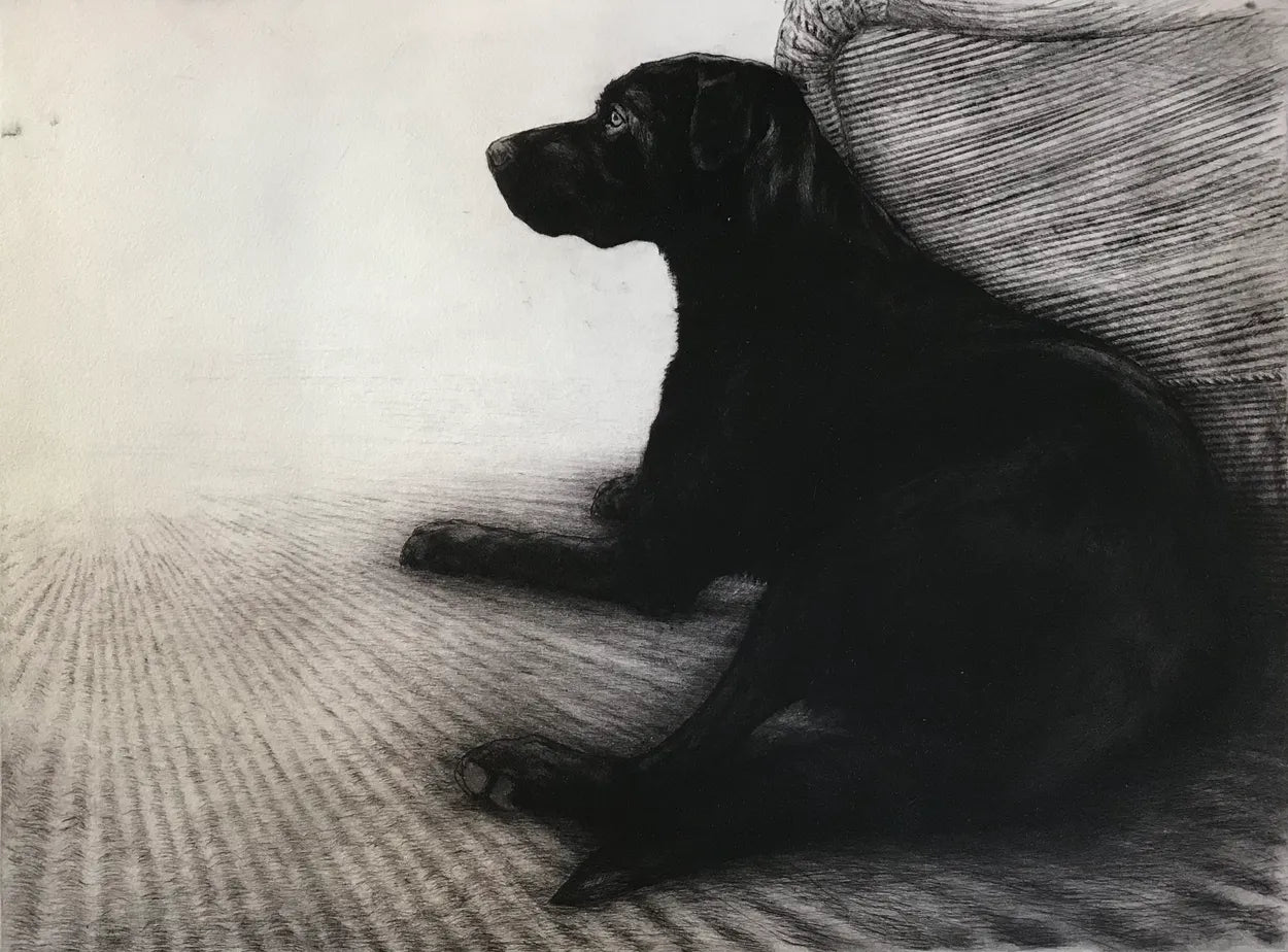 Fergus by Helen Fay