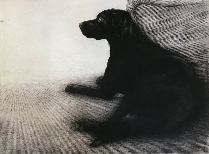 Fergus by Helen Fay