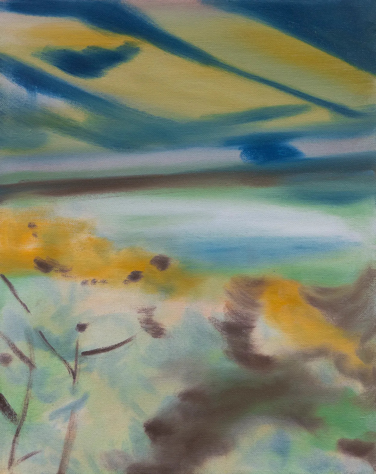 Fields by Laura Gaiger